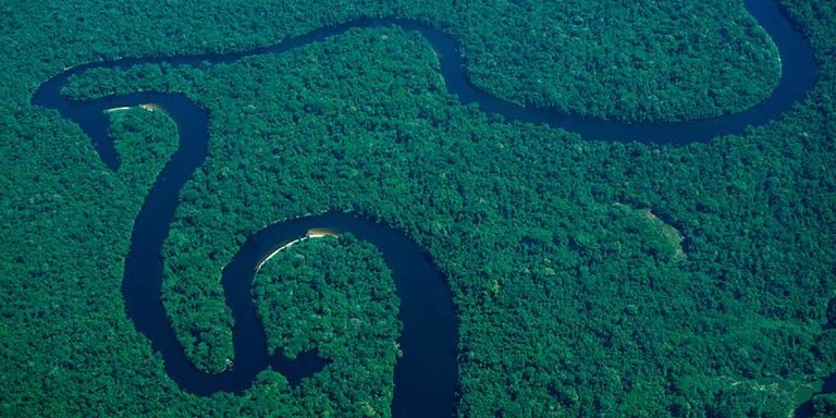 carbono Amazônia meio ambiente