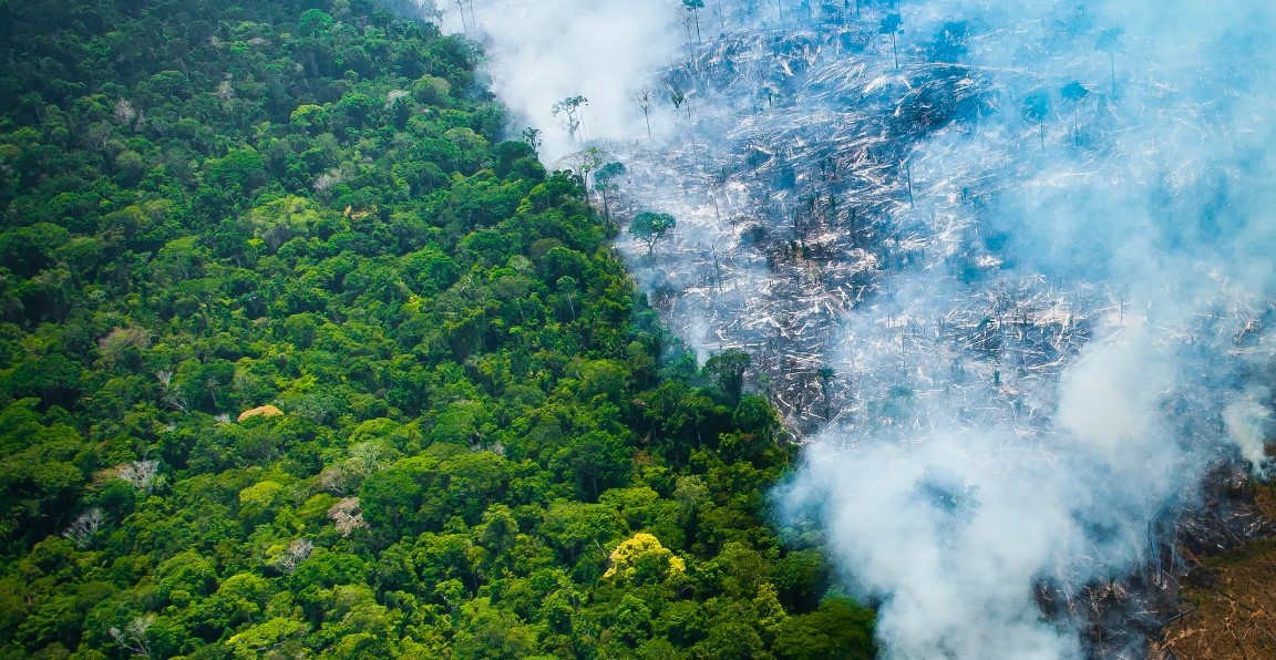 desmatamento Amazônia está mais perto do colapso do que a ciência esperava, afirma estudo da Nature