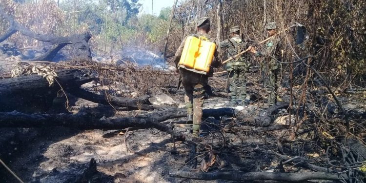 Exército combate queimadas na porção sul do estado em 2019. Foto- IPAAM