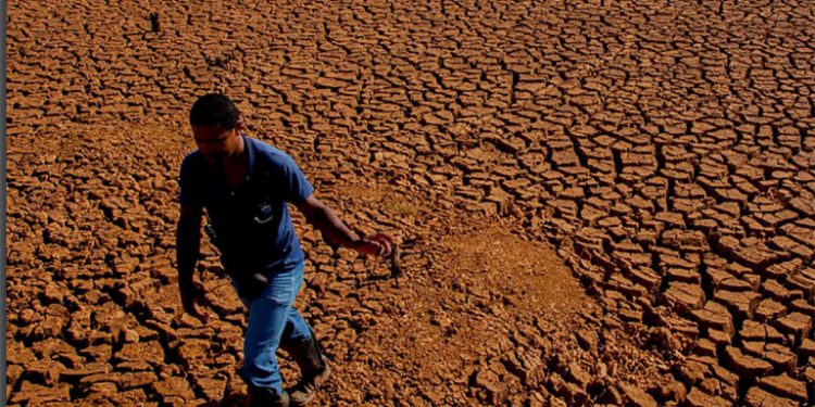 Flagrante de seca no Brasil, em 2015, em publicação da FAO. Foto: Gabriel Lindoso | Greenpeace