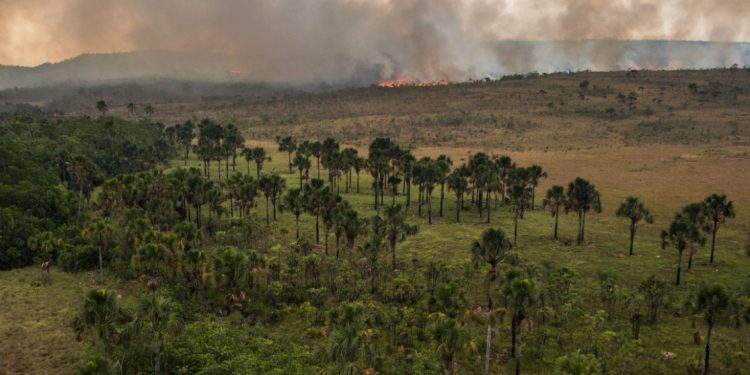 Incêndio na Chapada dos Veadeiros, em 2018. Foto: Fernando Tatagiba/ICMBio.