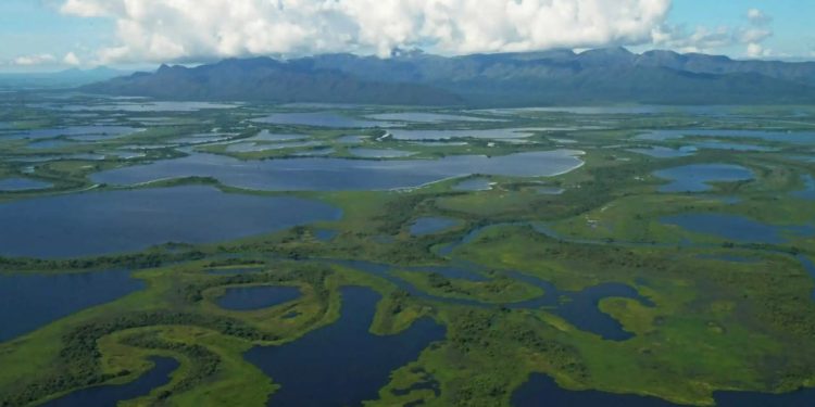 Pantanal matogrossense é protegido por lei pioneira no país para o bioma. Foto: Carl de Souza/AFP.