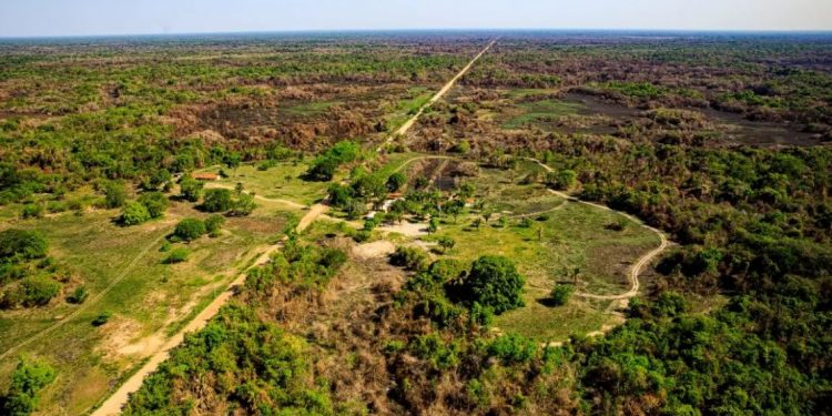 Projeto de lei que altera Lei do Pantanal no Mato Grosso pode ser votado nesta quarta (29). Foto: Secom-MT/Divulgação