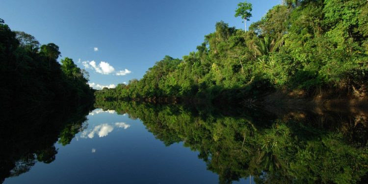 Rio Sucunduri, que dá nome a parque estadual no Amazonas, umas das áreas contempladas no programa. Foto - Zig Kock/WWF