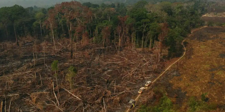 Amazônia