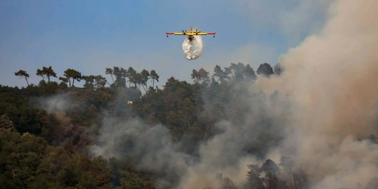 Incêndio florestal em Marrarosa, na Itália. Foto: Frederico Scopra/AFP.