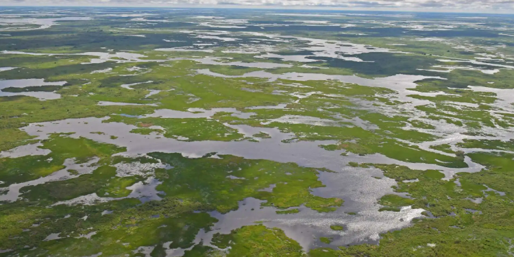 Pantanal Matogrossense. Foto: Carl de Souza/AFP