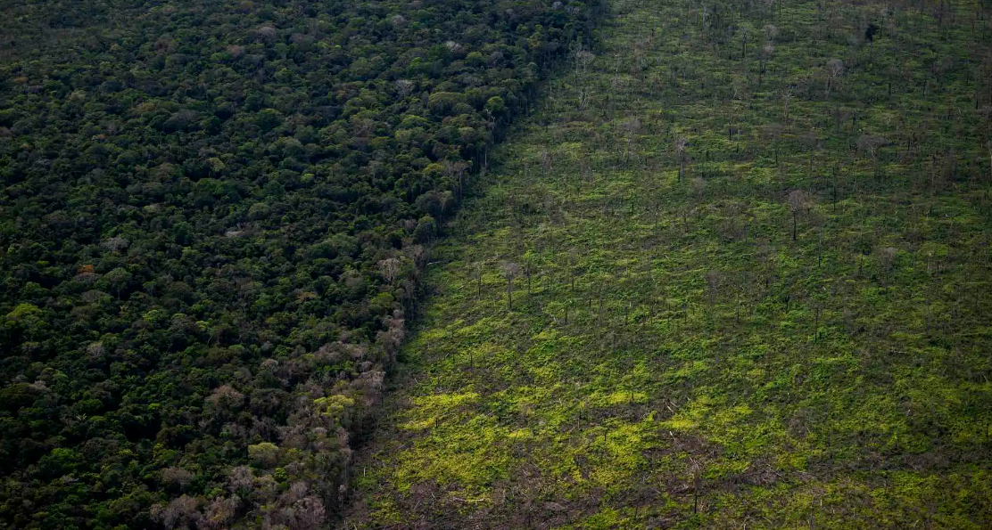 Desmatamento Amazônia Bolsonaro