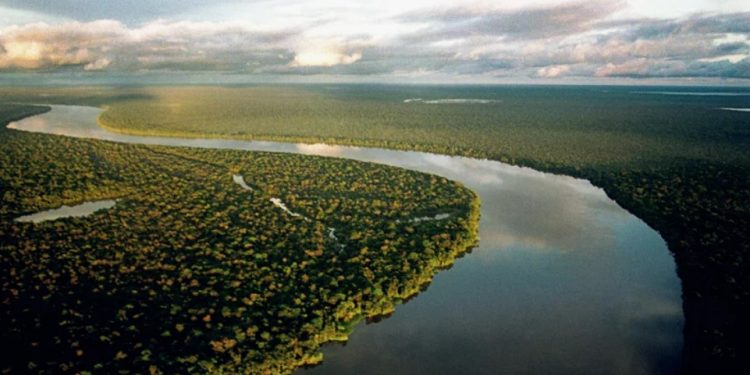 Amazônia