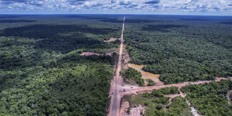 BR-319 Amazonas Amazônia