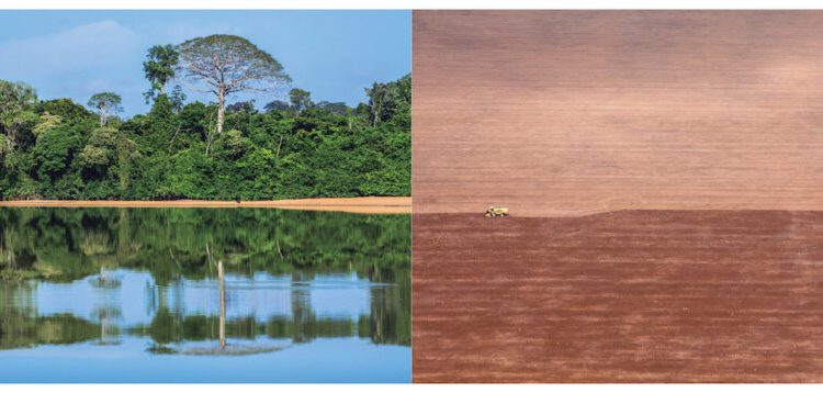 Amazônias