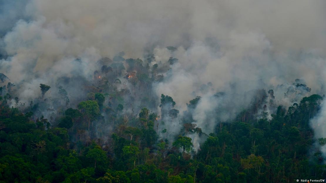 Amazônia