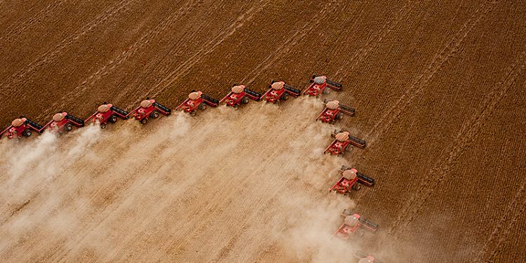 Foto: Governo do Mato Grosso