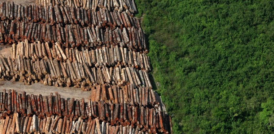 Desmatamento Amazônia Jair Bolsonaro 
