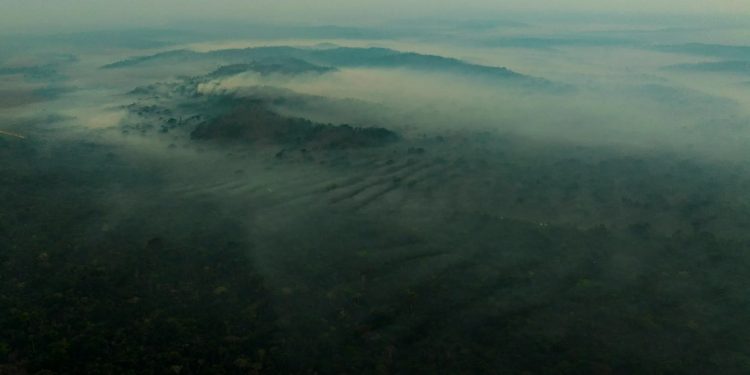 Fumaça encobre Parque Cristalino II, atingido desde meados de agosto pelas chamas. Foto: João Paulo Krajeswki