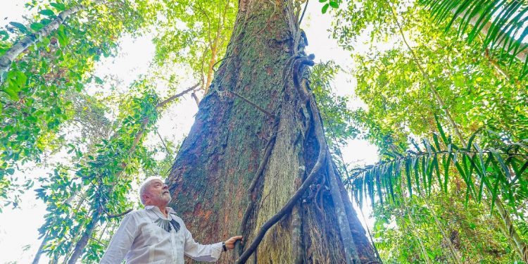 Lula no Amazonas durante campanha de 2022. Foto: Ricardo Stuckert