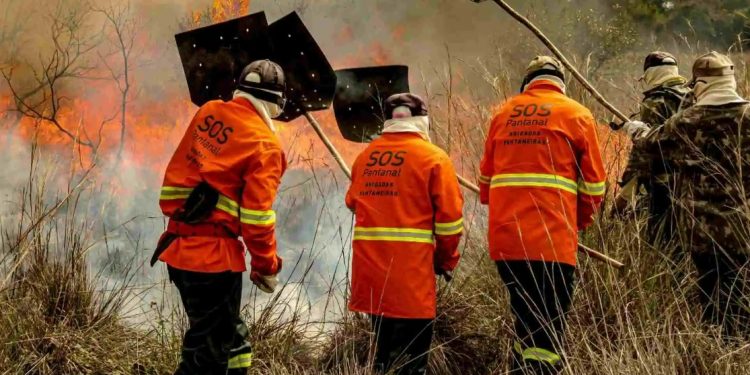 Programa de Brigadas Pantaneiras da SOS Pantanal atua no combate a incêndios no Pantanal sul-mato-grossense. Foto: Frico Guimarães/SOS Pantanal