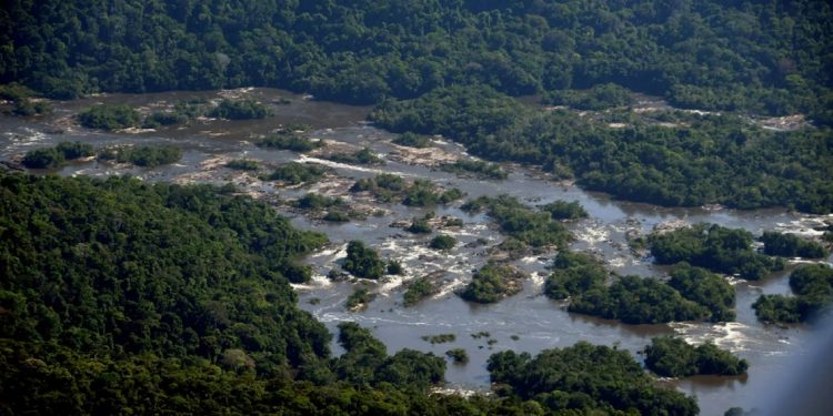 Vista aérea do no Rio Mapuera, na Terra Indígena Nhanmundá-Mapuera (Pará). Foto: Acute Angling