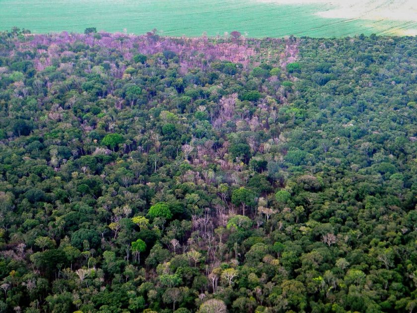 Amazônia Legal