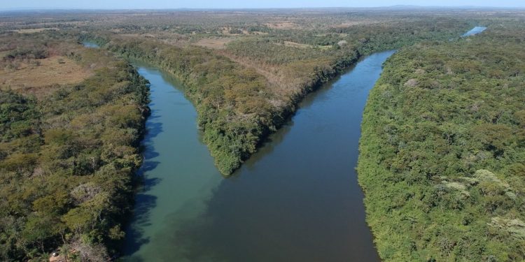 Rio Cuiabá Mato Grosso