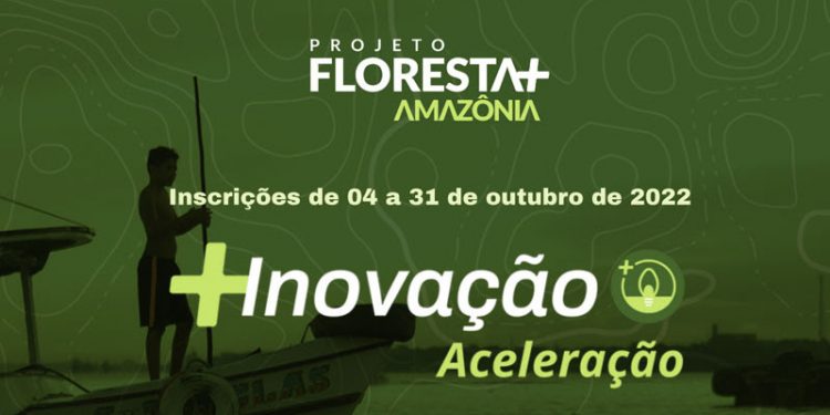 Estão abertas as inscrições para a Chamada Floresta+ Aceleração