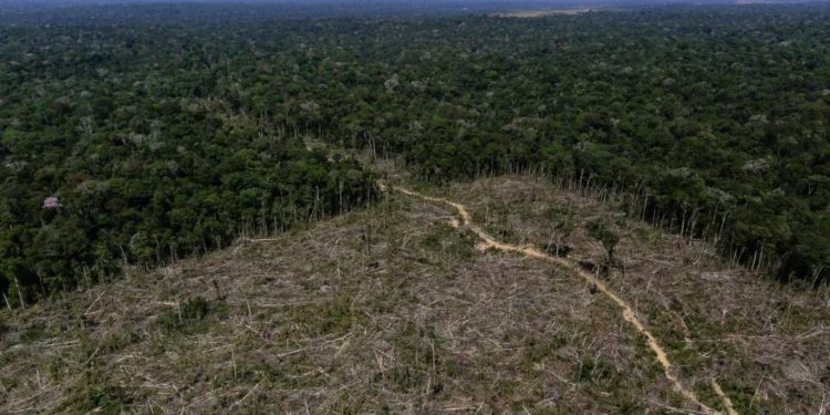 Desmatamento em Apuí, no Amazonas, região em que fiscais do Ibama realizaram operação em 27 de junho. — Foto: Bruno Kelly/Reuters