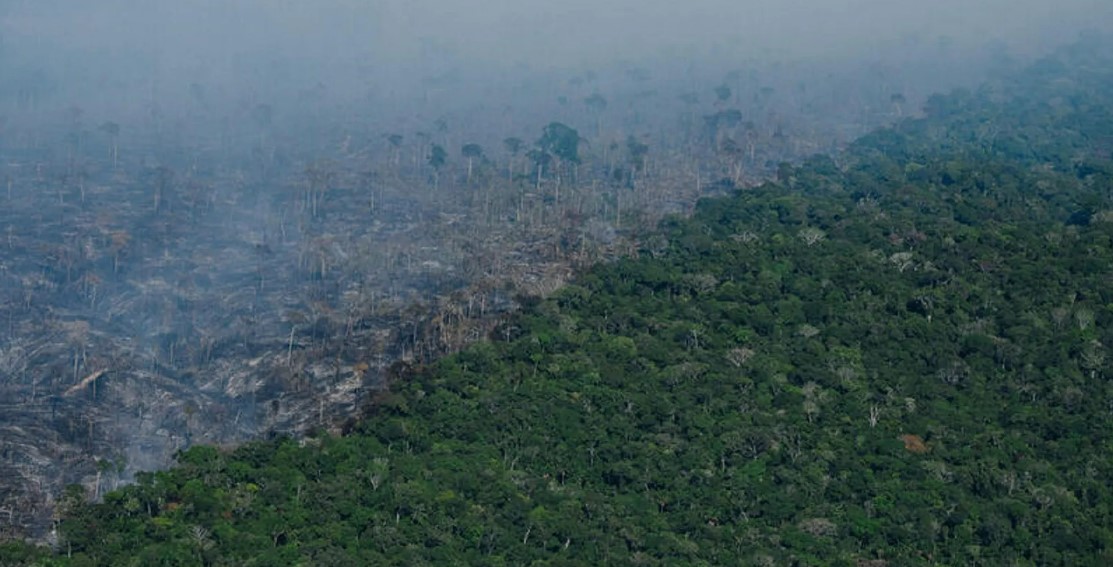 Desmatamento no Brasil mais que dobrou desde a assinatura do Acordo de Paris em 2015