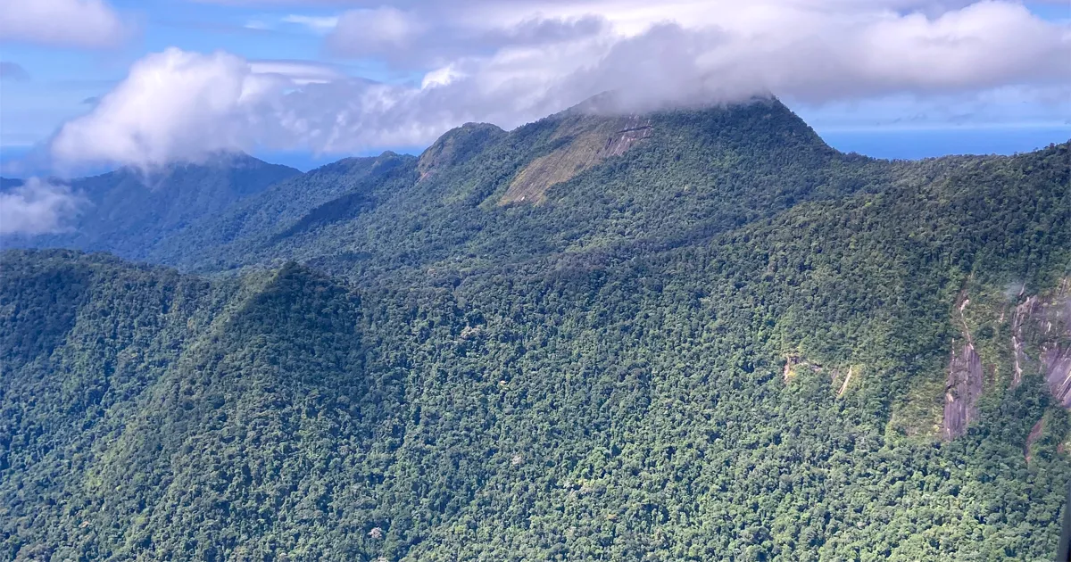 Amazônia