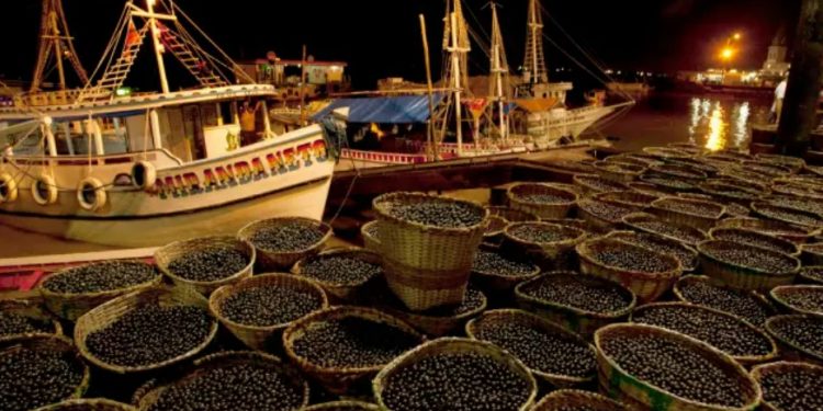 Cestas contendo açaí, colhidos da Floresta Amazônica, no cais do mercado Ver-o-Peso em Belém 11/01/2020. (Foto: Paulo Santos/AFP)