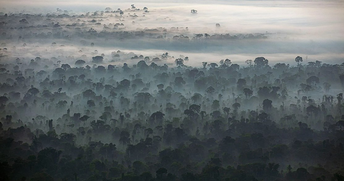 COP30 Amazônia