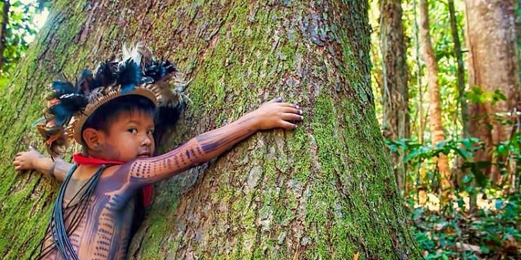 Para os povos indígenas, a chamada mãe terra é fonte de vida, espaço religioso e de convivência - Foto: Reprodução