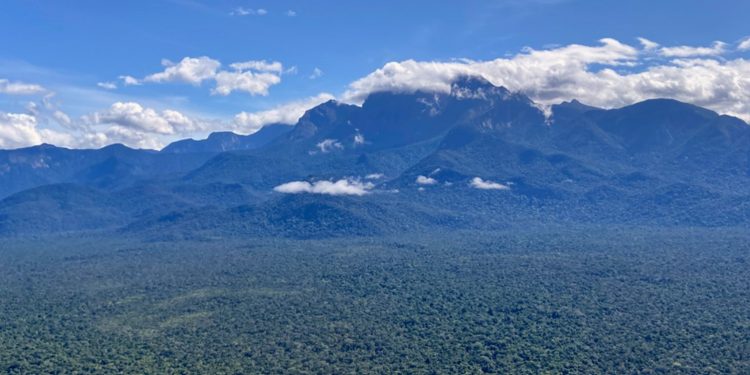 Serra do Imeri, no Amazonas - Foto: Miguel Trefaut Rodrigues