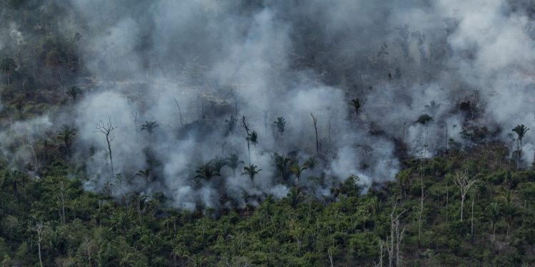 Vista aérea de um desmatamento na Amazônia para expansão pecuária, em Porto Velho, Rondônia. Crédito Victor Moriyama  Amazônia em Chamas