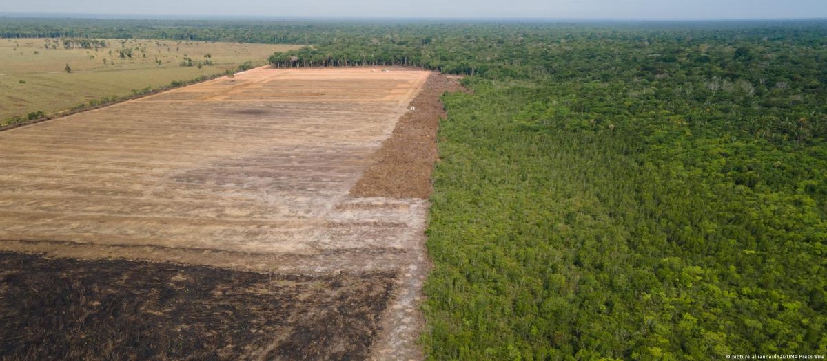 Amazônia