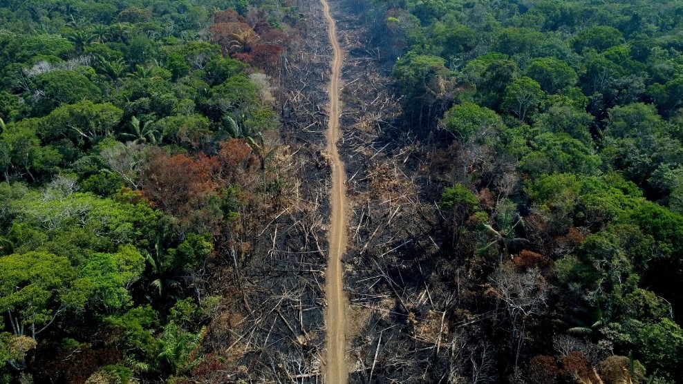 Europa acena com doação de 20 milhões de euros para Fundo Amazônia, valor é considerado baixo