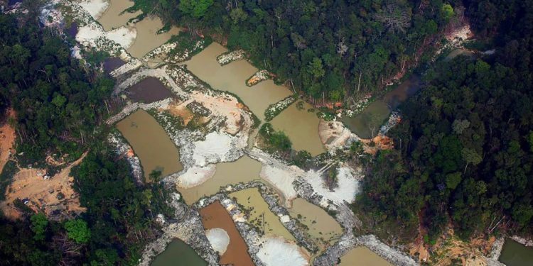 Garimpo ilegal na terra indígena munduruku, município de Jacareacanga – Foto: Marizilda Cruppe/Amazônia Real