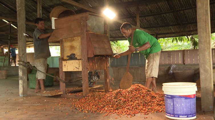 Amazônia