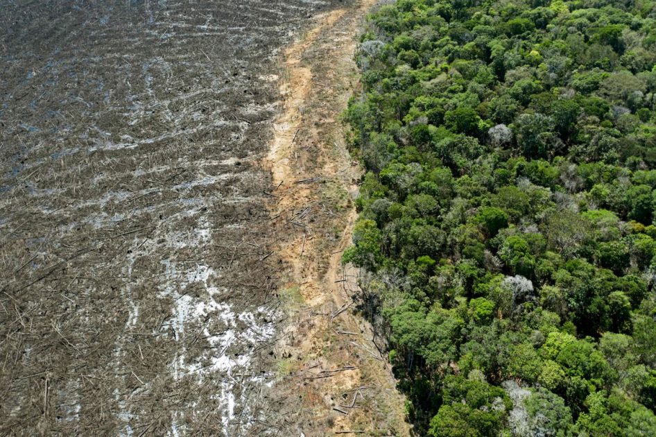 Amazônia