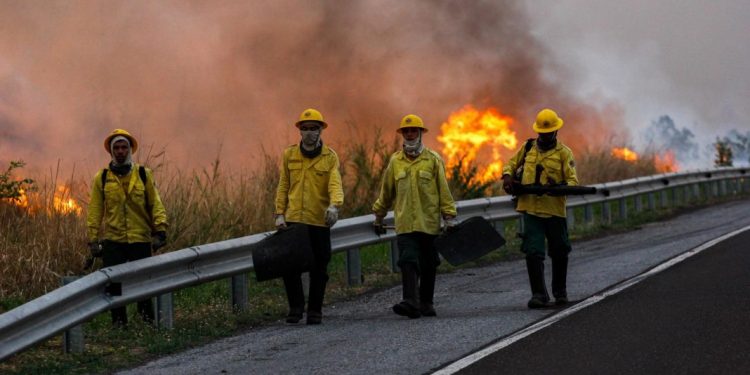 Brigadistas combatem Incendios florestais no Pantanal. | Foto: Chico Ribeiro