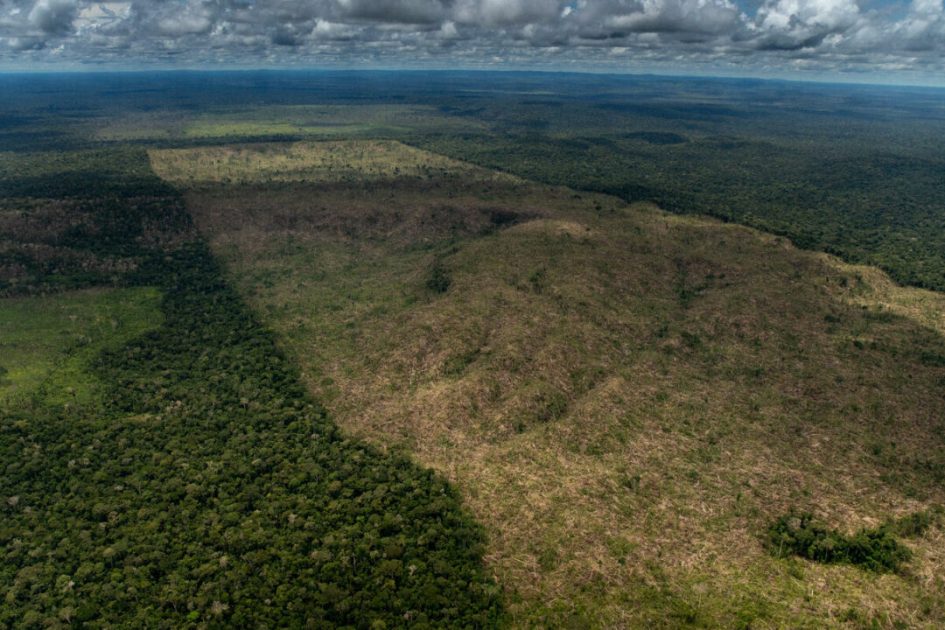 Desmatamento na Amazônia teve alta de 60% no governo Bolsonaro em relação aos quatro anos anteriores. Foto: Christian Braga/Greenpeace

Fundo Amazônia