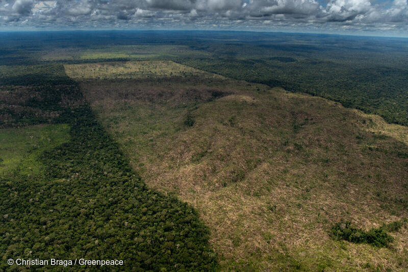 Amazônia