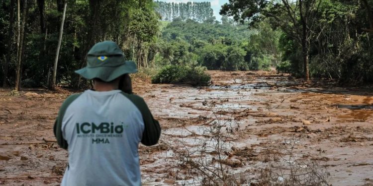 Foto: Felipe Werneck/Ibama