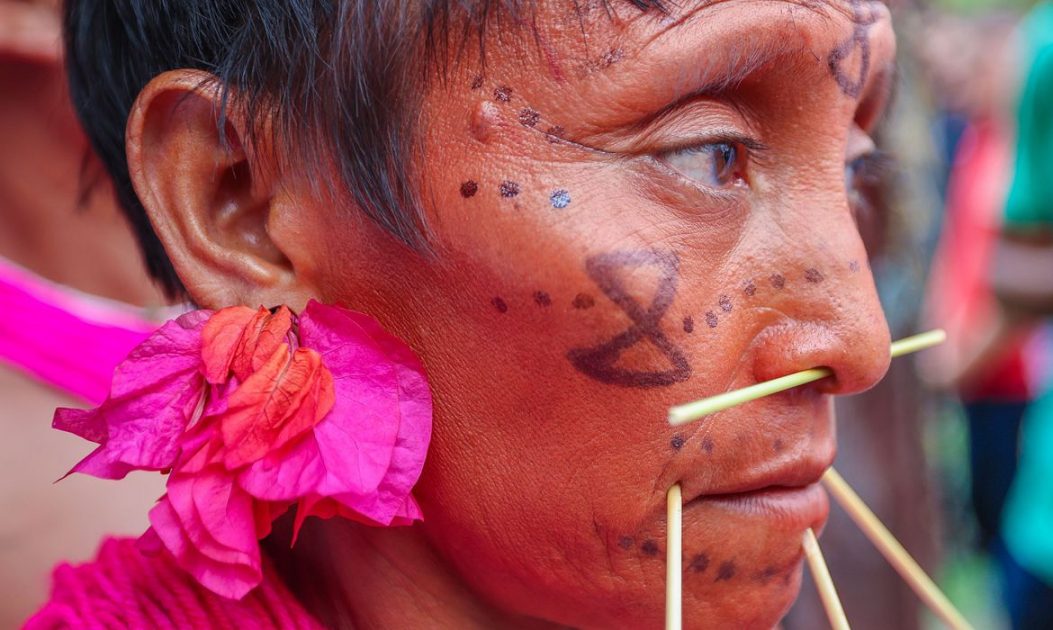 vacinação indígena Yanomami