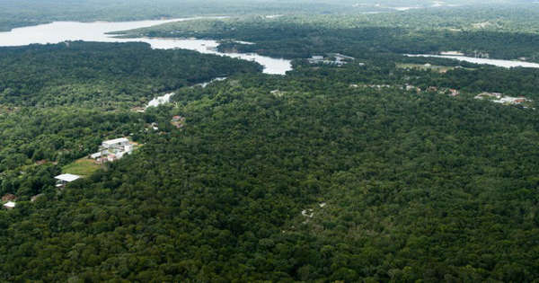amazônia eletrobras sustentabilidade