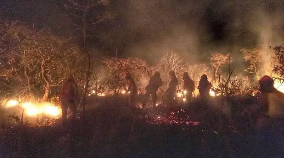 2023 registra número recorde de queimadas na Caatinga