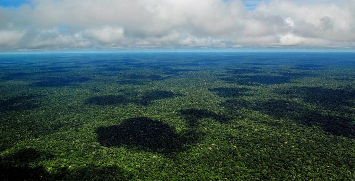 fundo amazonia amazonas Neil Palmer CIAT Flickr