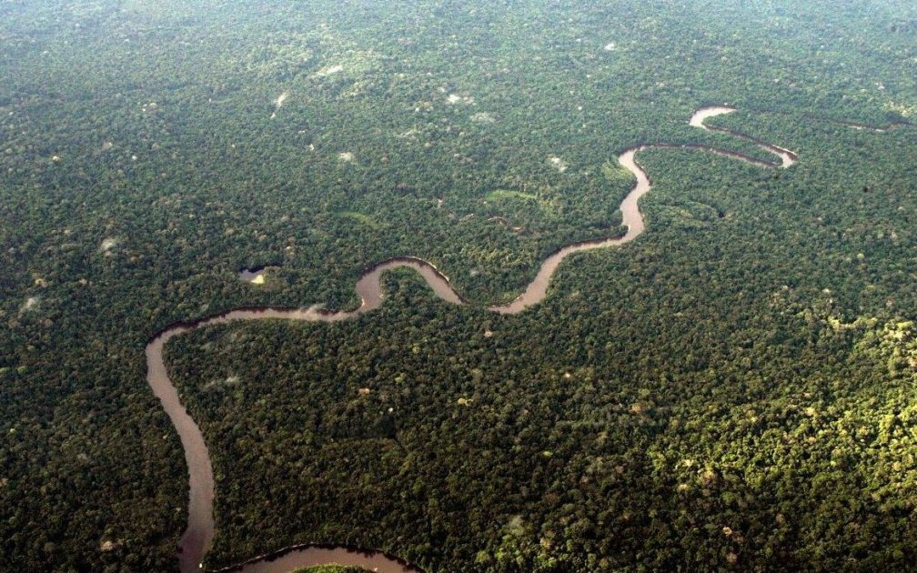 indústria verde Amazônia 