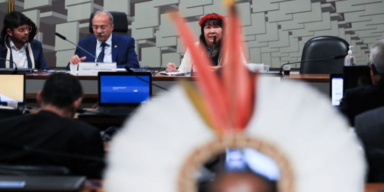 Comissão temporária dos yanomami ouve representantes do governo federal - Lula Marques/ Agência Brasil