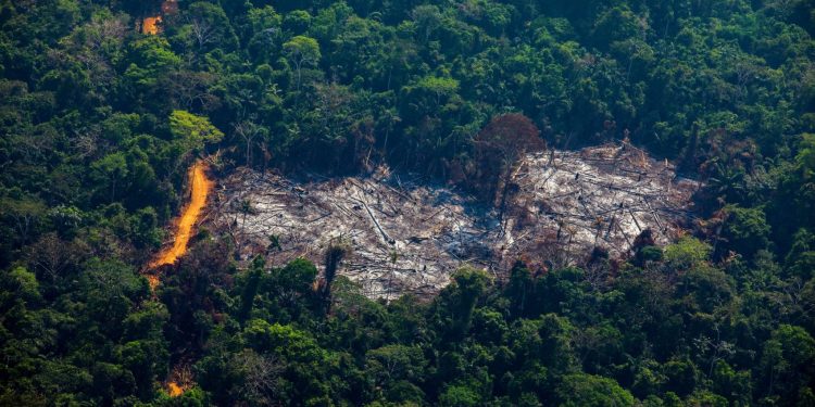 Foto: João Laet/AFP