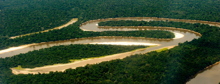 Qual a importância dos rios voadores da Amazônia? Debate com especialistas